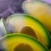 Avocado Vitamine und gesunde Fettsäuren