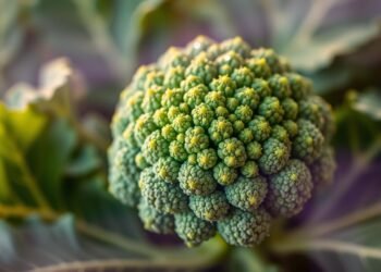 Brokkoli Vitamine Nährstoffe