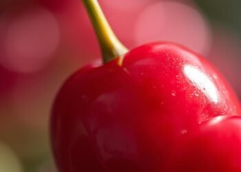 Vitamine in Kirschen Nährwerte